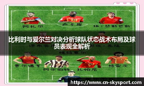 比利时与爱尔兰对决分析球队状态战术布局及球员表现全解析