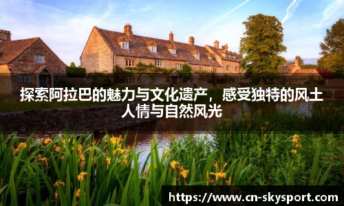 天空体育